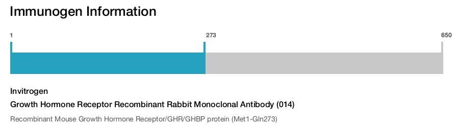 Growth Hormone Receptor Recombinant Rabbit Monoclonal Antibody (014)