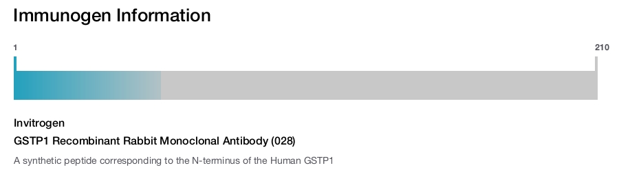 GSTP1 Recombinant Rabbit Monoclonal Antibody (028)