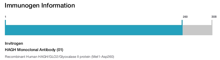 HAGH Monoclonal Antibody (01)