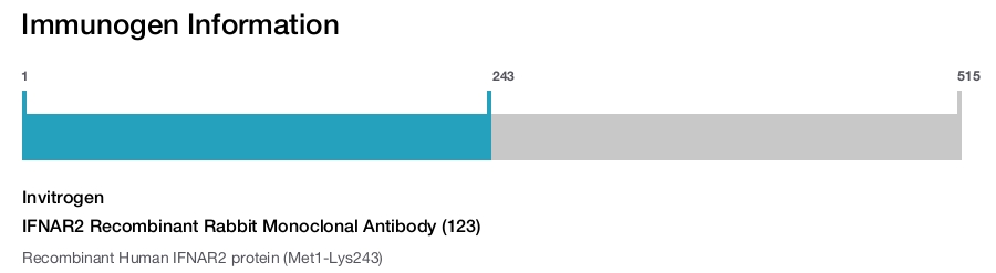 IFNAR2 Recombinant Rabbit Monoclonal Antibody (123)