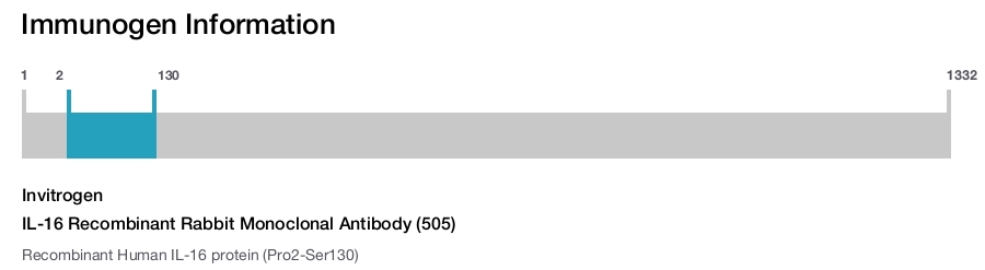 IL-16 Recombinant Rabbit Monoclonal Antibody (505)