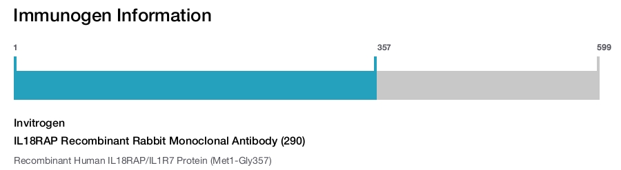 IL18RAP Recombinant Rabbit Monoclonal Antibody (290)