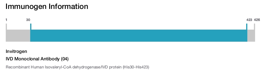 IVD Monoclonal Antibody (04)