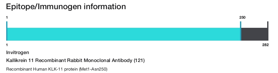 Kallikrein 11 Recombinant Rabbit Monoclonal Antibody (121)