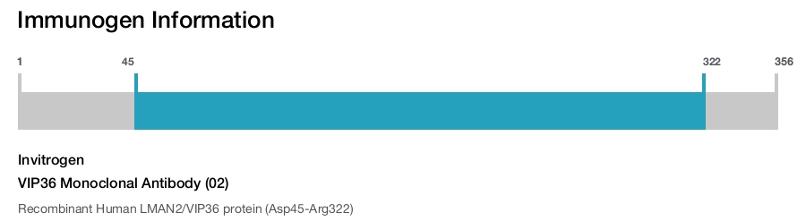 VIP36 Monoclonal Antibody (02)
