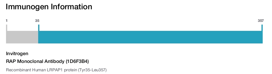RAP Monoclonal Antibody (1D6F3B4)