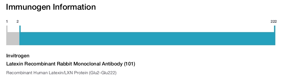 Latexin Recombinant Rabbit Monoclonal Antibody (101)
