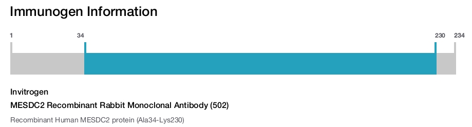 MESDC2 Recombinant Rabbit Monoclonal Antibody (502)