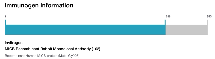 MICB Recombinant Rabbit Monoclonal Antibody (102)