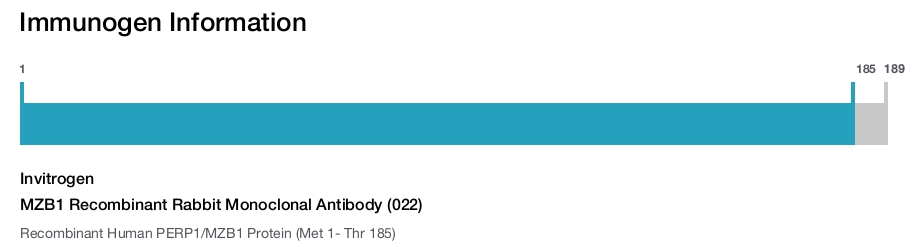 MZB1 Recombinant Rabbit Monoclonal Antibody (022)