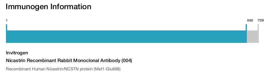 Nicastrin Recombinant Rabbit Monoclonal Antibody (004)