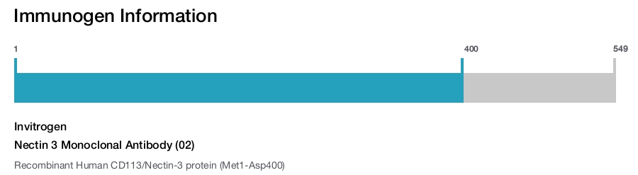 Nectin 3 Monoclonal Antibody (02)