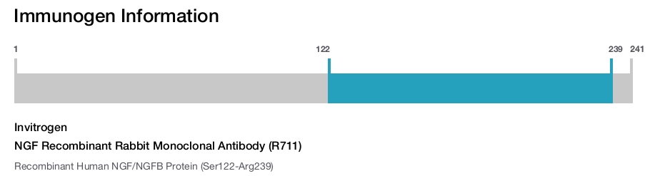 NGF Recombinant Rabbit Monoclonal Antibody (R711)