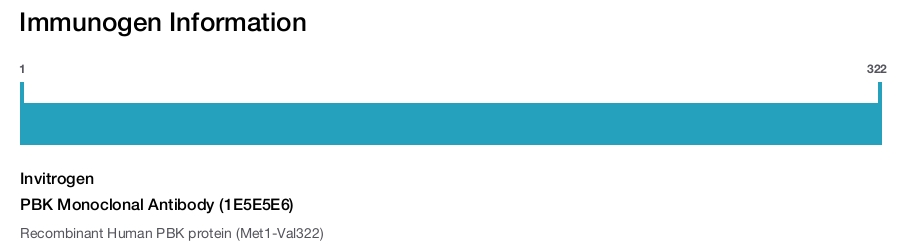 PBK Monoclonal Antibody (1E5E5E6)