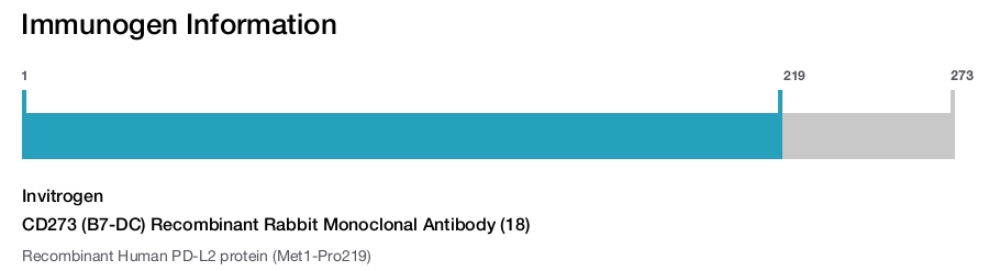 CD273 (B7-DC) Recombinant Rabbit Monoclonal Antibody (18)