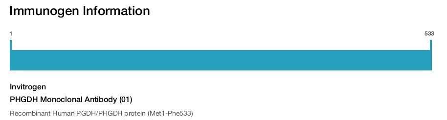 PHGDH Monoclonal Antibody (01)