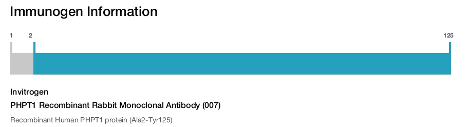 PHPT1 Recombinant Rabbit Monoclonal Antibody (007)