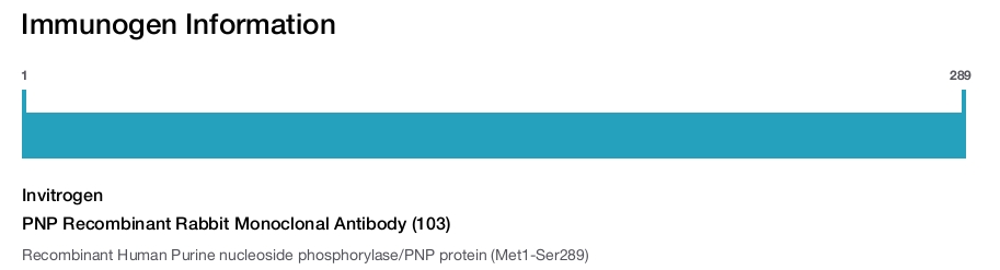 PNP Recombinant Rabbit Monoclonal Antibody (103)