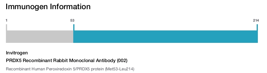 PRDX5 Recombinant Rabbit Monoclonal Antibody (002)