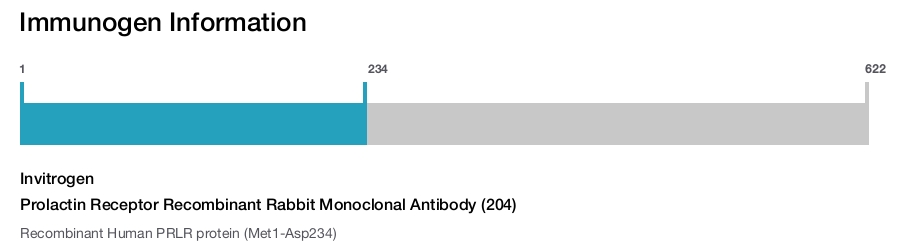 Prolactin Receptor Recombinant Rabbit Monoclonal Antibody (204)