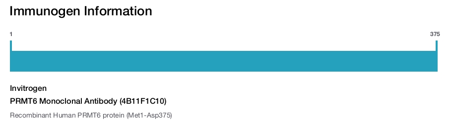 PRMT6 Monoclonal Antibody (4B11F1C10)