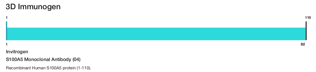 S100A5 Monoclonal Antibody (04)