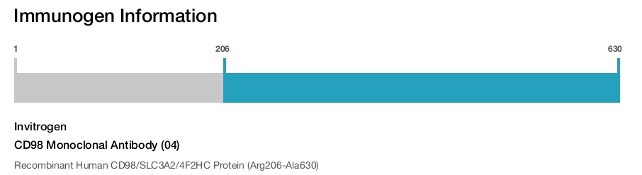 CD98 Monoclonal Antibody (04)