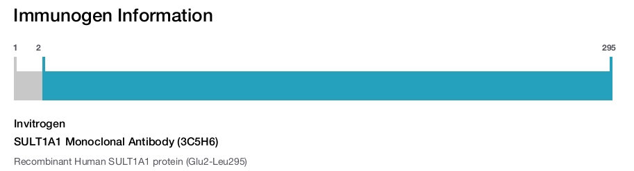 SULT1A1 Monoclonal Antibody (3C5H6)