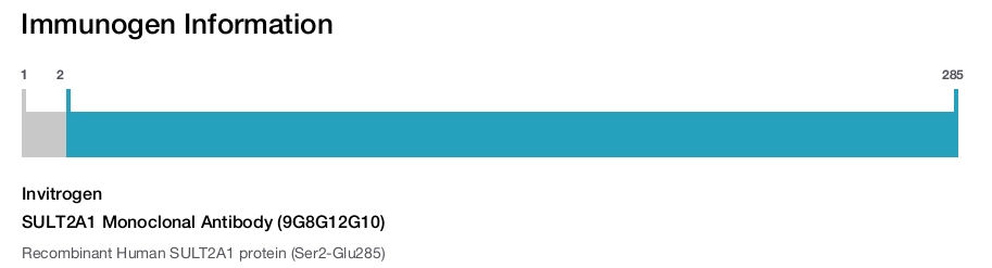 SULT2A1 Monoclonal Antibody (9G8G12G10)