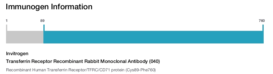 Transferrin Receptor Recombinant Rabbit Monoclonal Antibody (040)