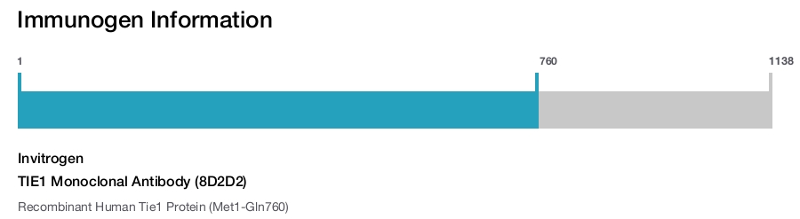 TIE1 Monoclonal Antibody (8D2D2)