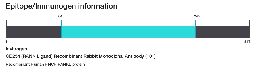 CD254 (RANK Ligand) Recombinant Rabbit Monoclonal Antibody (101)