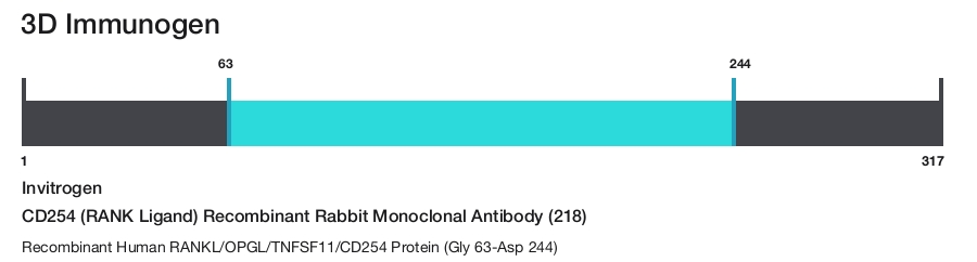 CD254 (RANK Ligand) Recombinant Rabbit Monoclonal Antibody (218)