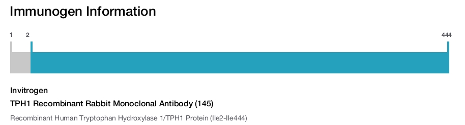 TPH1 Recombinant Rabbit Monoclonal Antibody (145)