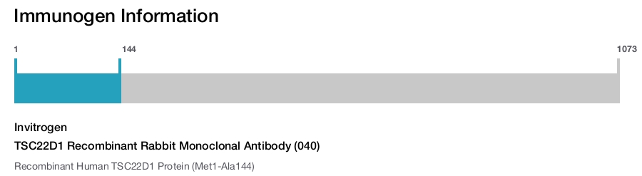 TSC22D1 Recombinant Rabbit Monoclonal Antibody (040)