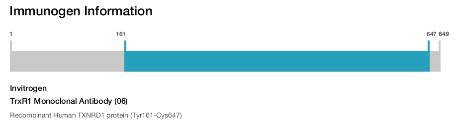TrxR1 Monoclonal Antibody (06)