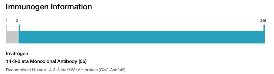 14-3-3 eta Monoclonal Antibody (06)