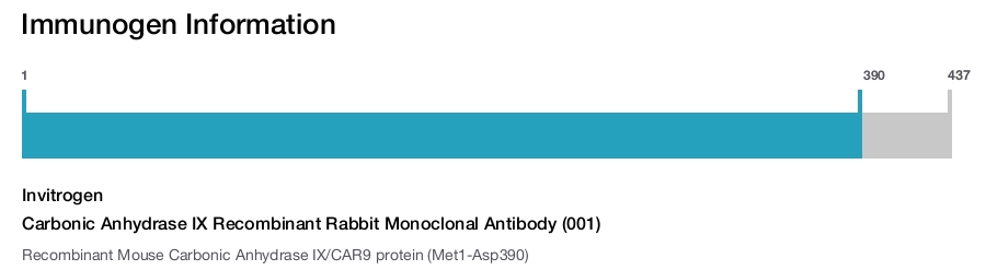 Carbonic Anhydrase IX Recombinant Rabbit Monoclonal Antibody (001)