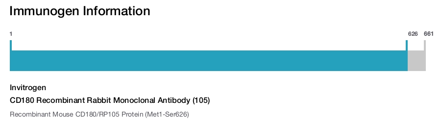 CD180 Recombinant Rabbit Monoclonal Antibody (105)