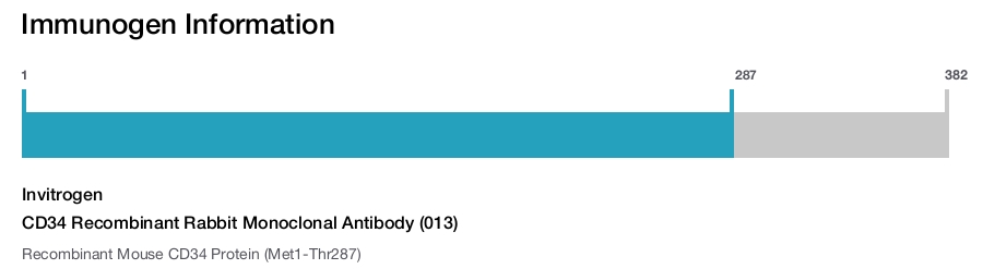 CD34 Recombinant Rabbit Monoclonal Antibody (013)