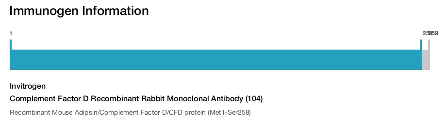 Complement Factor D Recombinant Rabbit Monoclonal Antibody (104)