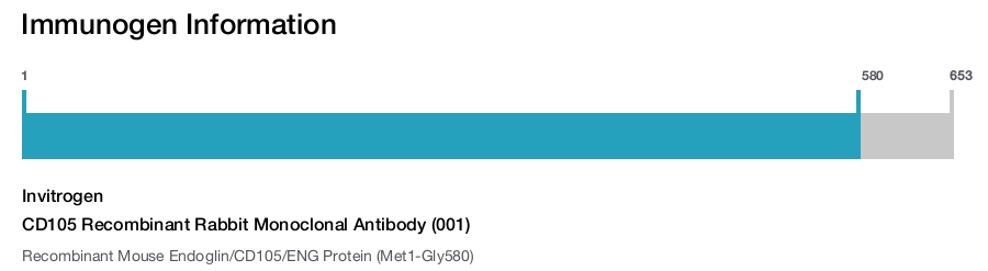 CD105 Recombinant Rabbit Monoclonal Antibody (001)