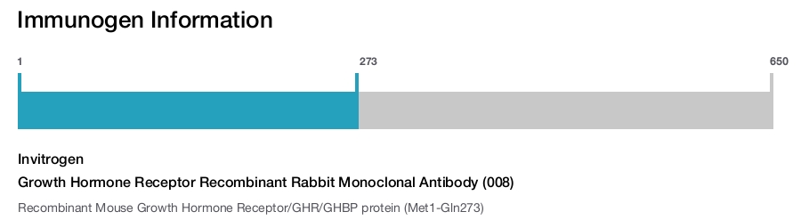 Growth Hormone Receptor Recombinant Rabbit Monoclonal Antibody (008)