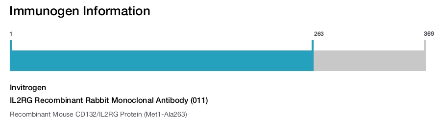 IL2RG Recombinant Rabbit Monoclonal Antibody (011)