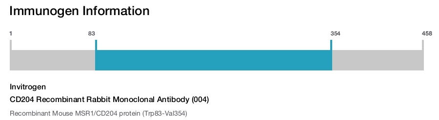 CD204 Recombinant Rabbit Monoclonal Antibody (004)