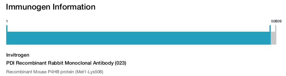 PDI Recombinant Rabbit Monoclonal Antibody (023)