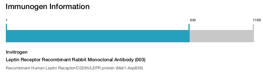 Leptin Receptor Recombinant Rabbit Monoclonal Antibody (003)