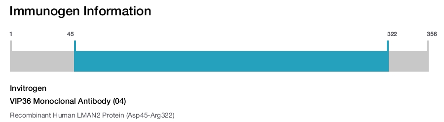 VIP36 Monoclonal Antibody (04)