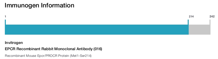 EPCR Recombinant Rabbit Monoclonal Antibody (016)