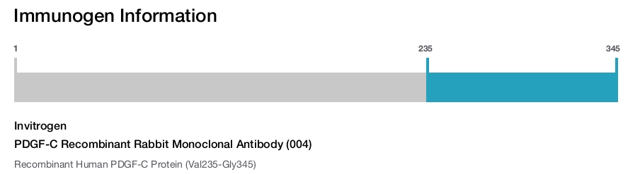 PDGF-C Recombinant Rabbit Monoclonal Antibody (004)